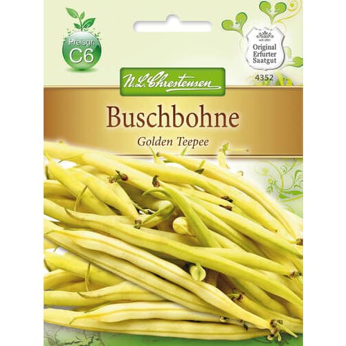 Pupelės Golden Teepee interface.image 1 interface.art 78818