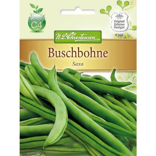 Pupelės Saxa 2 interface.art nuotrauka 1 Pupelės Saxa 2 interface.image 1 interface.art 78824