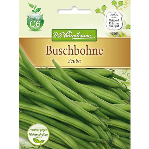 Pupelės Scuba interface.image 1 interface.art 78825