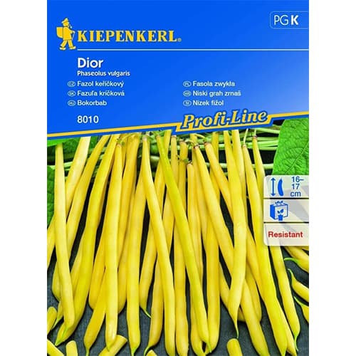 Pupelės šparaginės Dior interface.image 1 interface.art 87275