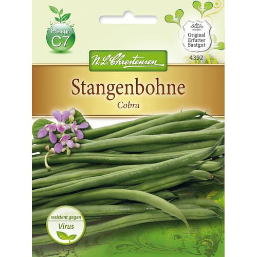 Laipiojančios pupelės Cobra interface.image 1 interface.art 78833