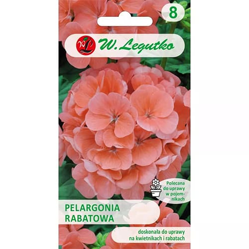 Rabatinė pelargonija Gama F1 - lašiša interface.art nuotrauka 1 Rabatinė pelargonija Gama F1 - lašiša interface.image 1 interface.art 69620