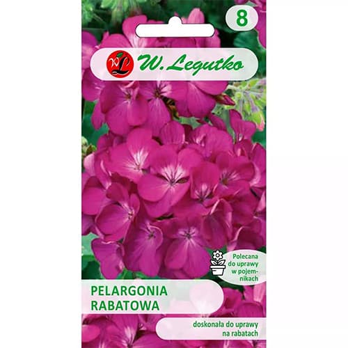 Rabatinė pelargonija Gama F1 purpurinė interface.art nuotrauka 1 Rabatinė pelargonija Gama F1 purpurinė interface.image 1 interface.art 78633
