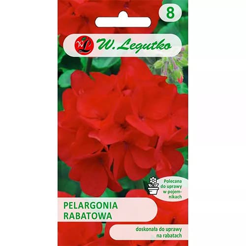 Rabatinė pelargonija Gama F1 raudona interface.art nuotrauka 1 Rabatinė pelargonija Gama F1 raudona interface.image 1 interface.art 78632