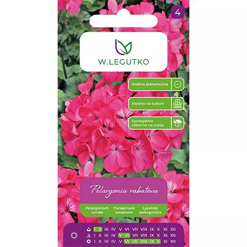 Rabatinė pelargonija Gama F1 - rožinė interface.image 1 interface.art 69621