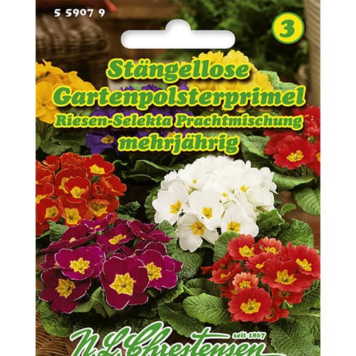 Raktažolė, mix Chrestensen interface.image 1 interface.art 86181