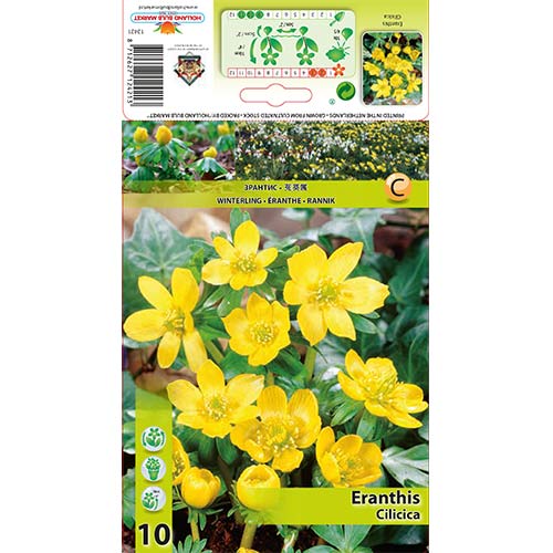 Rannikas Cilicica interface.art nuotrauka 1 Rannikas Cilicica interface.image 1 interface.art 70313