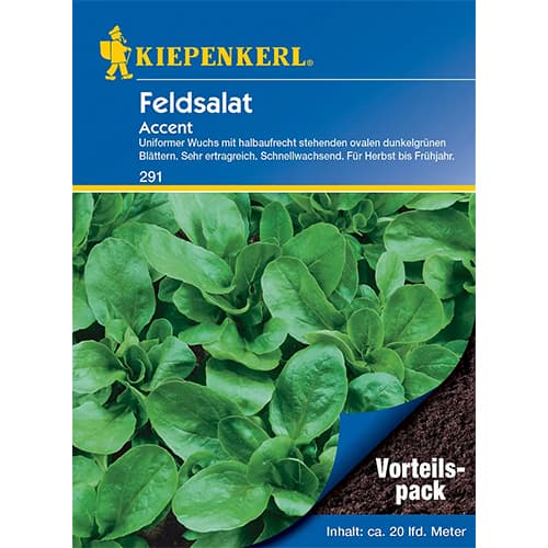 Sultenės Accent interface.image 1 interface.art 77494