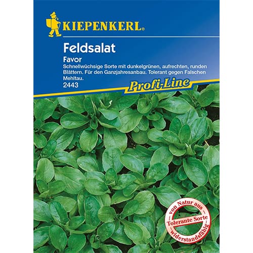 Sultenės Favor interface.image 1 interface.art 86449