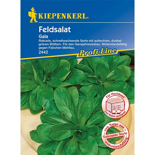 Sultenės Gala interface.image 1 interface.art 86450