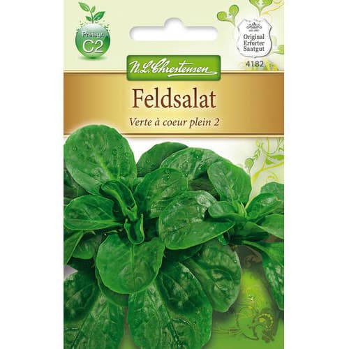 Salotos Verte a coeur plein 2 interface.image 1 interface.art 78766