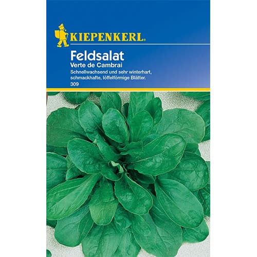 Sultenės Verte de Cambrai interface.image 1 interface.art 77493