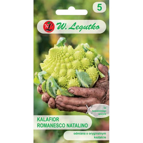 Romanesco natalino žiediniai kopūstai interface.image 1 interface.art 69477