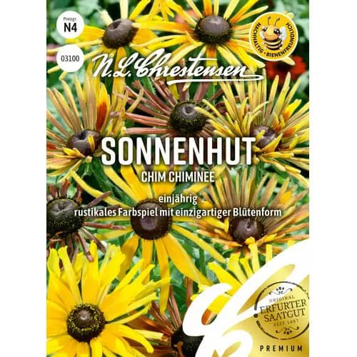 Rudbekijos plaukuotos Chim Chiminee interface.image 1 interface.art 96452