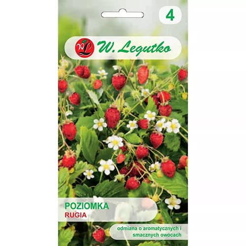 Rügen Levignon braškės interface.image 1 interface.art 69530