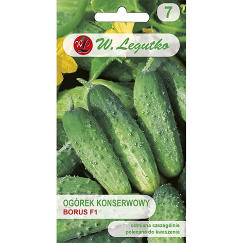 Rūgštieji agurkai Borus F1 interface.image 1 interface.art 86882