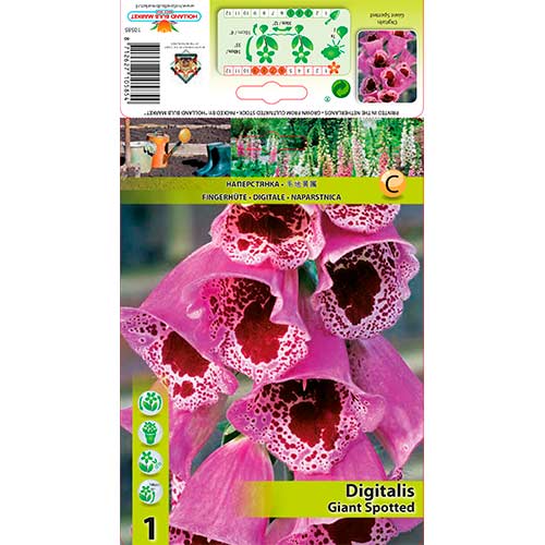 Rusmenė (Digitalis) Giant Spotted interface.art nuotrauka 1 Rusmenė (Digitalis) Giant Spotted interface.image 1 interface.art 70384