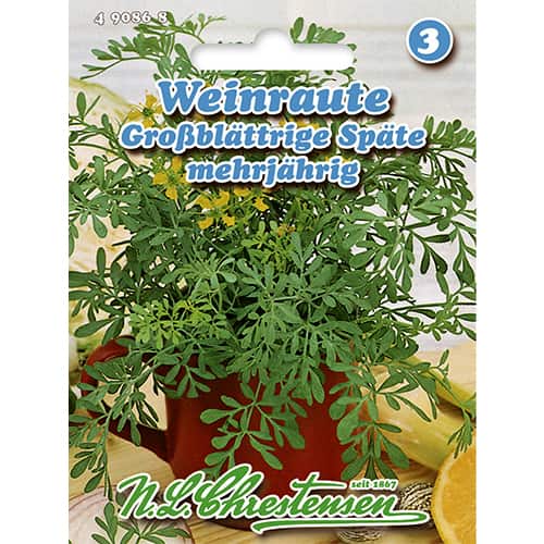 Rūtos paprastosios interface.image 1 interface.art 86022