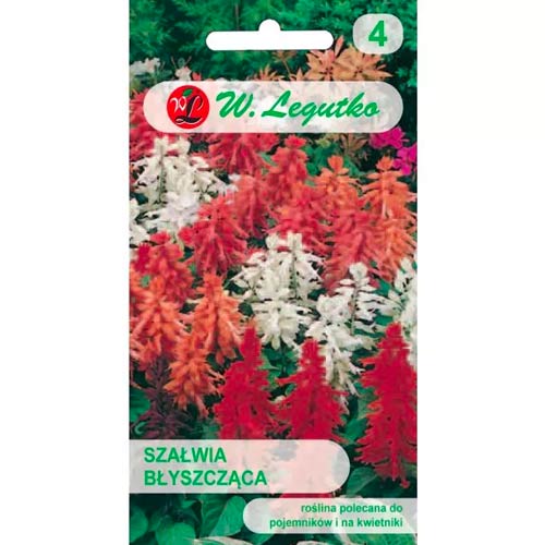 Šalavijai blizgantys, mišinys Legutko interface.art nuotrauka 1 Šalavijai blizgantys, mišinys Legutko interface.image 1 interface.art 78592