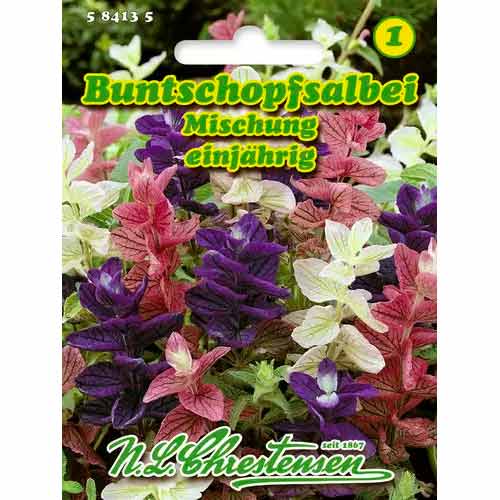 Šalavijai, mišinys Chrestensen interface.image 1 interface.art 50032