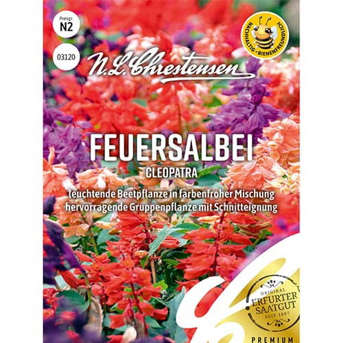 Šalavijai Cleopatra, mišinys interface.image 1 interface.art 86150