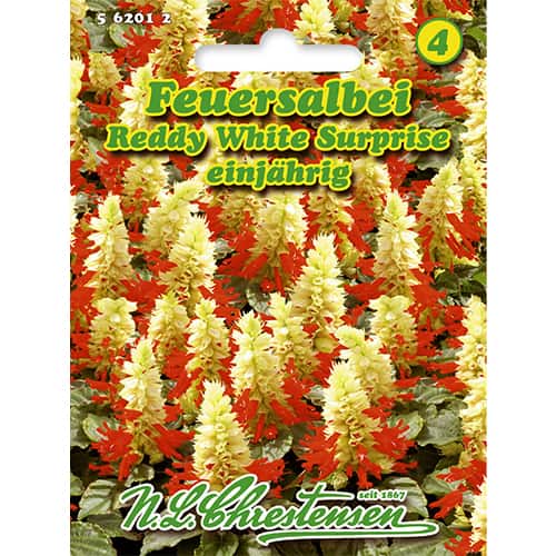 Šalavijai blizgantys Reddy White Surprise interface.image 1 interface.art 86185