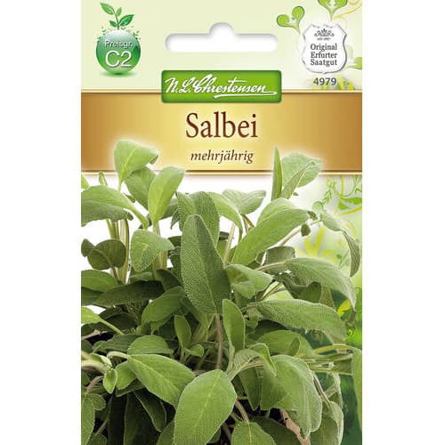 Šalavijai daugiamečiai interface.image 1 interface.art 78869