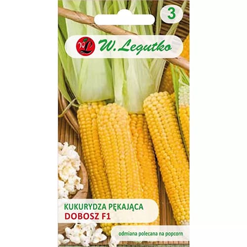 Saldieji kukurūzai Dobosz F1 interface.image 1 interface.art 78481