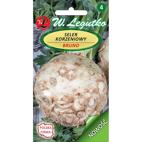 Salierai Bruno interface.image 1 interface.art 86905