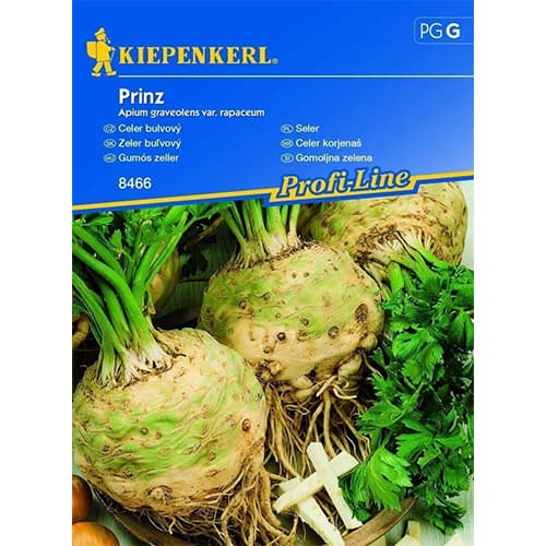 Salierai Prinz interface.image 1 interface.art 86526