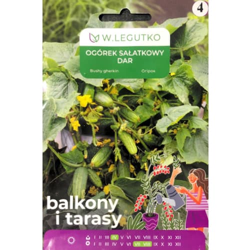 Salotinis agurkas Dar interface.image 1 interface.art 69647