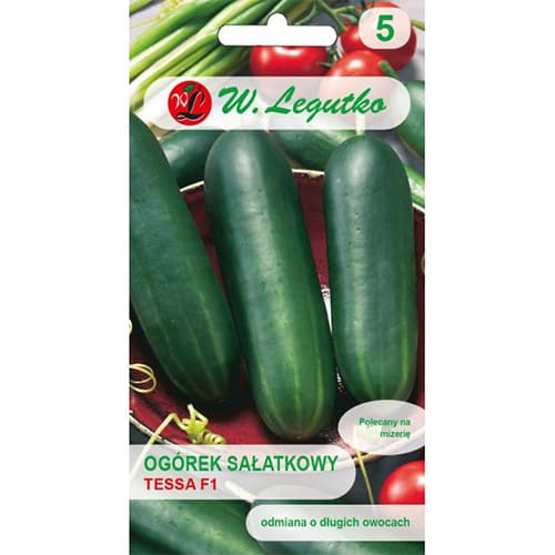 Salotinis agurkas Tessa F1 interface.image 1 interface.art 86884