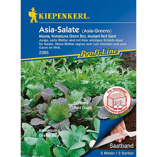 Salotos azijinės, mišinys interface.art nuotrauka 1 Salotos azijinės, mišinys interface.image 1 interface.art 87291