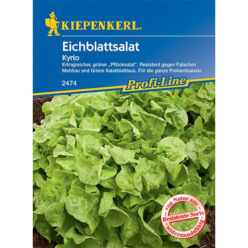 Salotos ąžuolalapės Kyrio interface.image 1 interface.art 96609