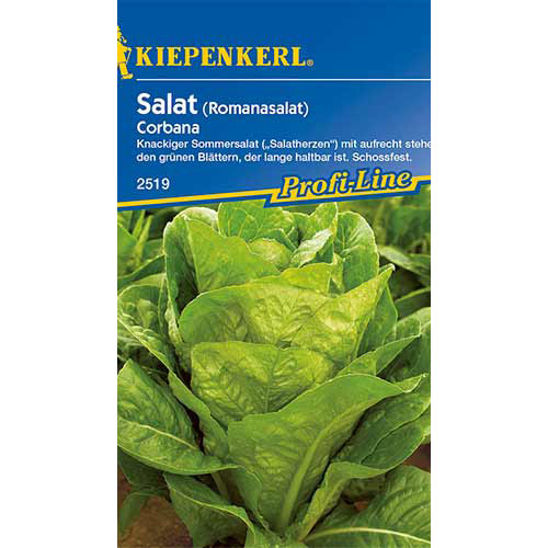 Salotos Corbana Kiepenkerl interface.art nuotrauka 1 Salotos Corbana Kiepenkerl interface.image 1 interface.art 86516