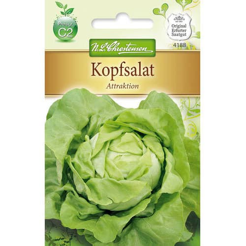 Salotos gūžinės Attraktion Chrestensen interface.art nuotrauka 1 Salotos gūžinės Attraktion Chrestensen interface.image 1 interface.art 78768