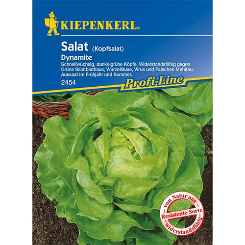 Salotos gūžinės Dynamite Kiepenkerl interface.art nuotrauka 1 Salotos gūžinės Dynamite Kiepenkerl interface.image 1 interface.art 86461