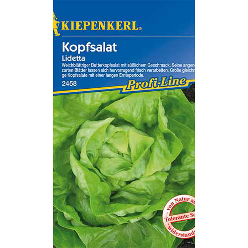 Salotos gūžinės Lidetta Kiepenkerl interface.art nuotrauka 1 Salotos gūžinės Lidetta Kiepenkerl interface.image 1 interface.art 86463
