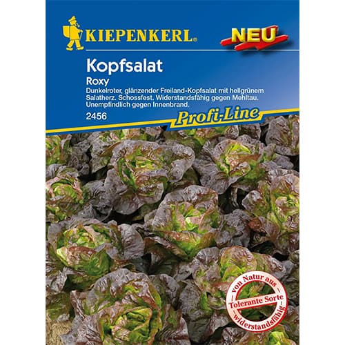 Salotos gūžinės Roxy interface.image 1 interface.art 96627