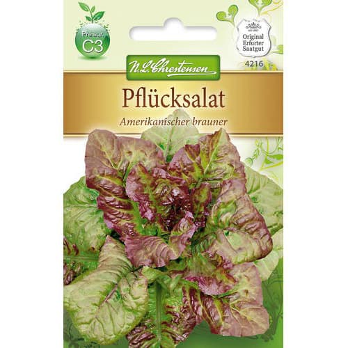 Salotos lapinės Amerikanischer Brauner interface.image 1 interface.art 78777