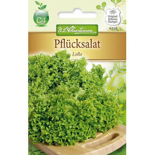 Salotos lapinės Lollo interface.art nuotrauka 1 Salotos lapinės Lollo interface.image 1 interface.art 78778