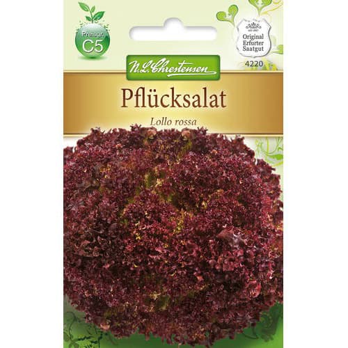 Salotos lapinės Lollo Rossa interface.image 1 interface.art 78779