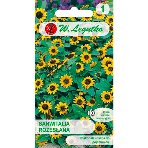 Sanvitalia išsiųsta Legutko interface.art nuotrauka 1 Sanvitalia išsiųsta Legutko interface.image 1 interface.art 50118