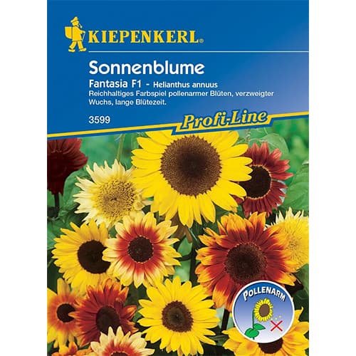 Saulėgrąžos dekoratyvinės Fantasia F1 interface.image 1 interface.art 86320