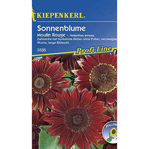 Saulėgrąžų dekoratyviniai Moulin Rouge Kiepenkerl interface.image 1 interface.art 86325