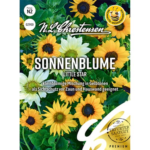 Saulėgrąžos Little Star interface.image 1 interface.art 86189