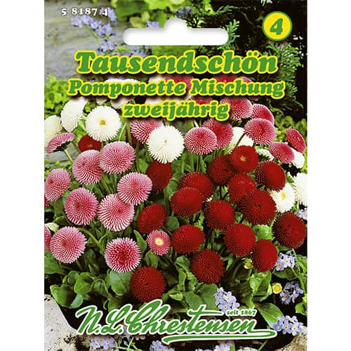 Saulutės Pomponette, mišinys interface.art nuotrauka 1 Saulutės Pomponette, mišinys interface.image 1 interface.art 86124