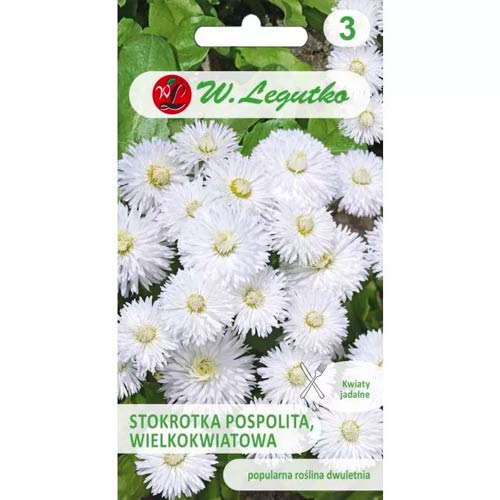 Saulutės Ave balta Legutko interface.art nuotrauka 1 Saulutės Ave balta Legutko interface.image 1 interface.art 50120