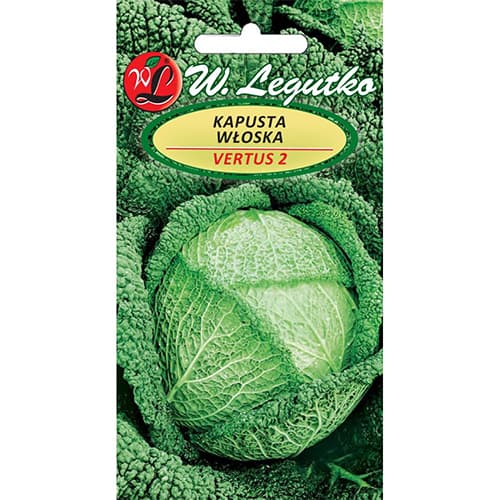 Savojos kopūstai Vertus 2 interface.art nuotrauka 1 Savojos kopūstai Vertus 2 interface.image 1 interface.art 78476