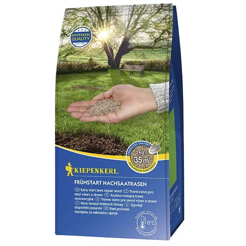 Sėklos vejos, greitai augančios interface.image 1 interface.art 96887